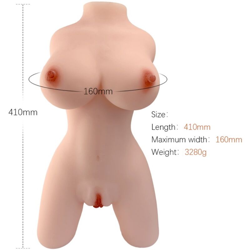 ARMONY - REALISTIC FEMALE TORSO MODEL 4